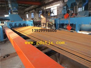 鋼筋表面除銹專用全自動通過式拋丸機(jī)